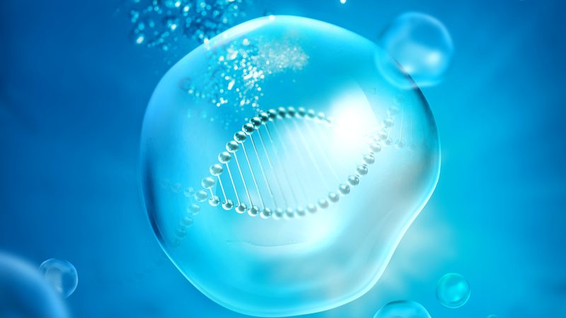PCR检测标本保存液：选择背后的科学考量**