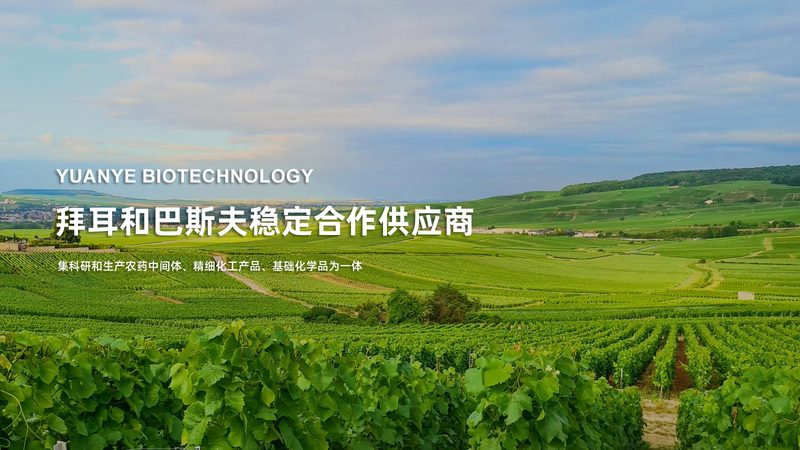 肿瘤基因测序结果出炉时间揭秘