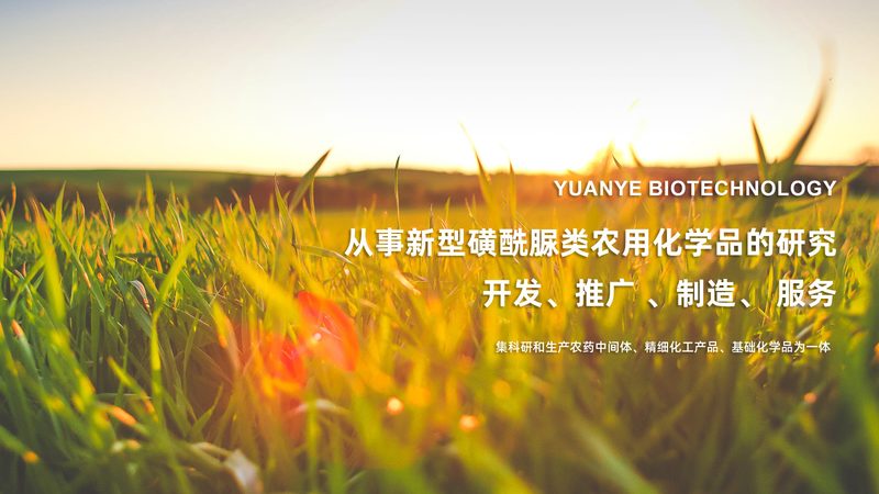 微量离心管多少钱一支
