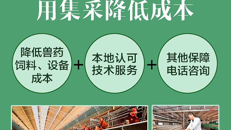 移液器批发，如何选择性价比之选？**