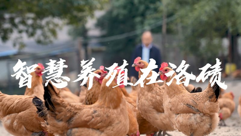 实验室耗材：价格与品质的平衡之道