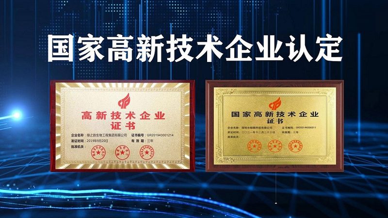 国内小分子CDMO行业：揭秘供应商排名背后的考量**
