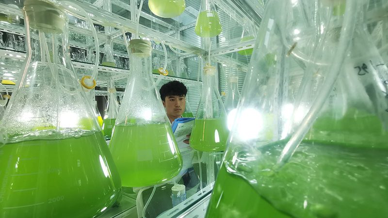 实验室耗材规格型号大全